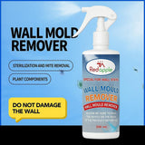 Powerful Oxalic Acid Surface Cleaner 200 ml (Pack of 1)